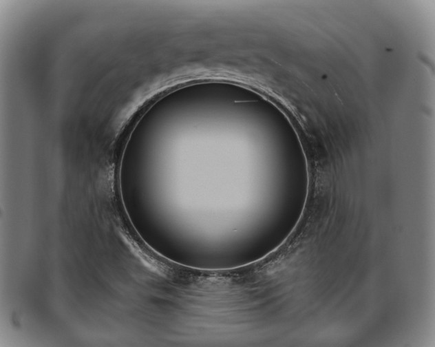 X0000096661503200802191254