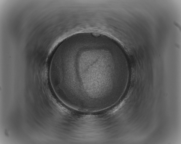 X0000096661506200802191254