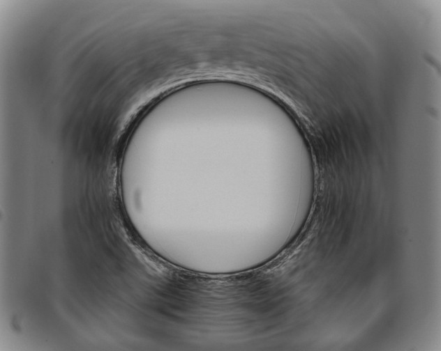 X0000096661507200802191254