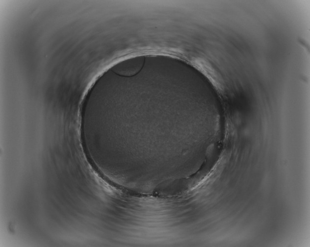 X0000096661508200802191254