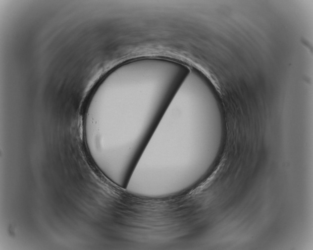 X0000096661509200802191254