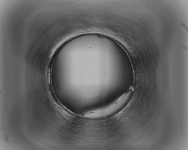 X0000096661510200802191254