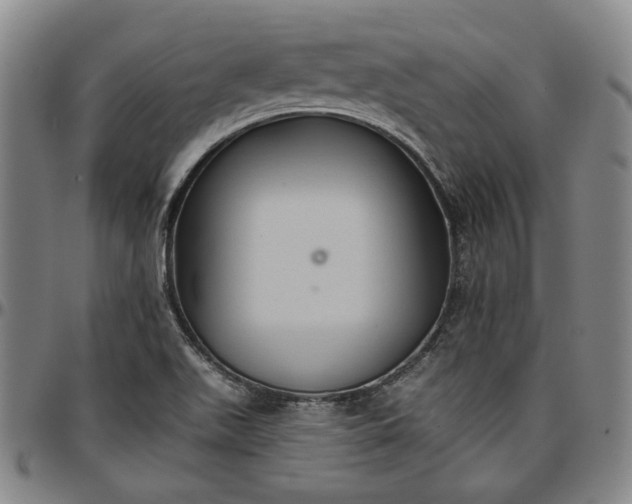 X0000096661511200802191254