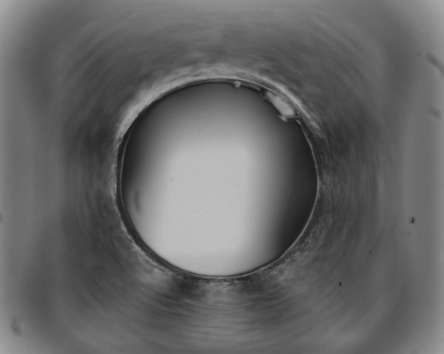 X0000096661512200802191254