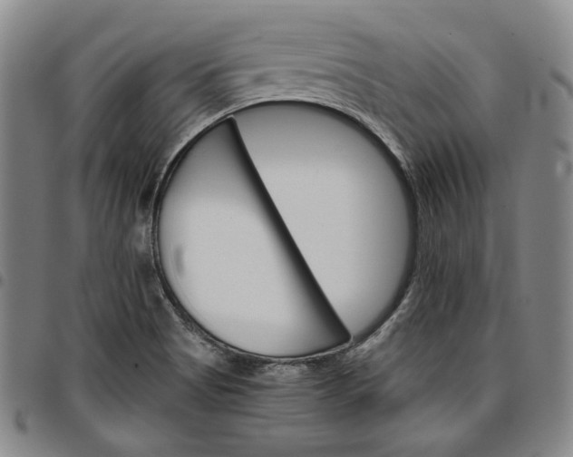 X0000096661513200802191254