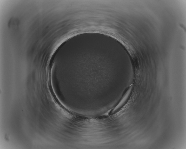 X0000096661515200802191254