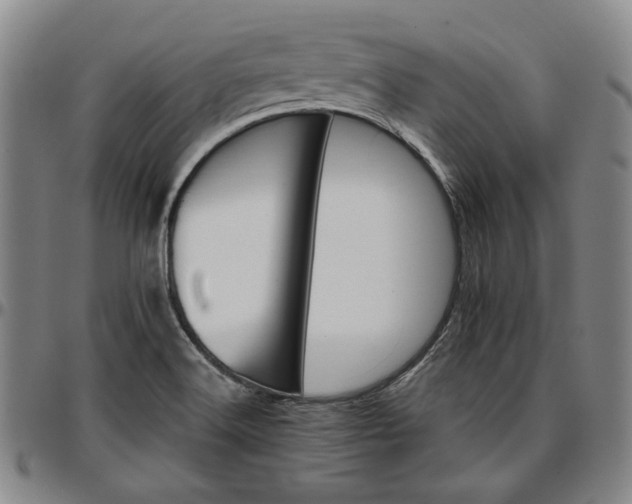 X0000096661516200802191254