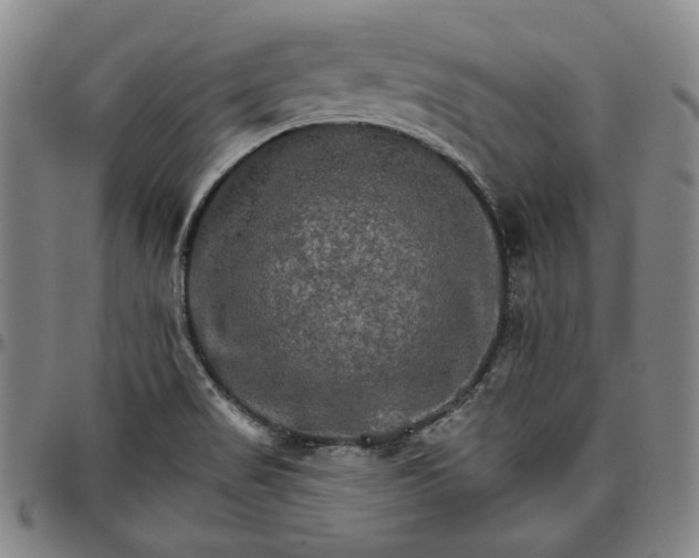 X0000096661517200802191254