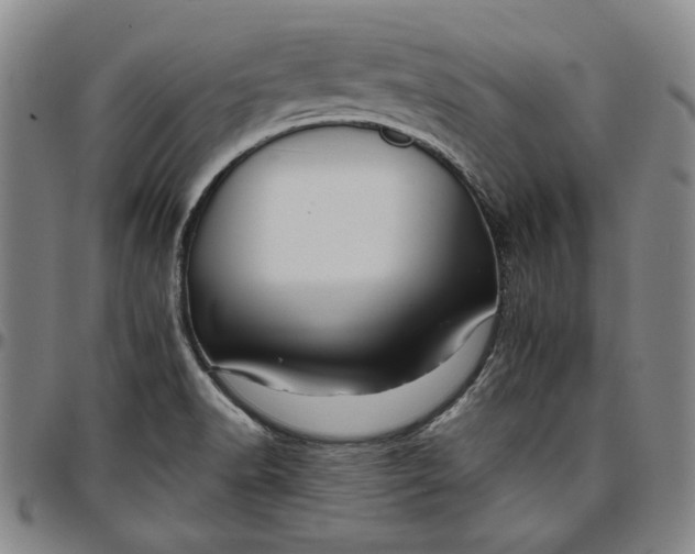 X0000096661518200802191254