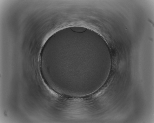 X0000096661519200802191254