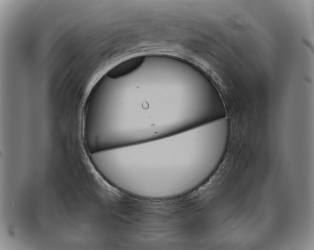 X0000096661520200802191254