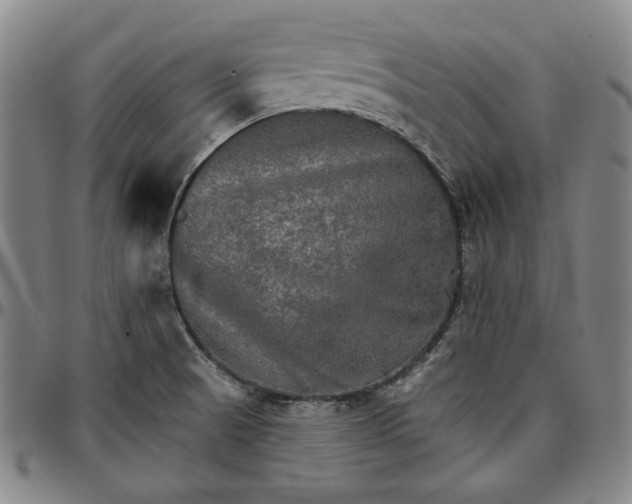 X0000096661521200802191254