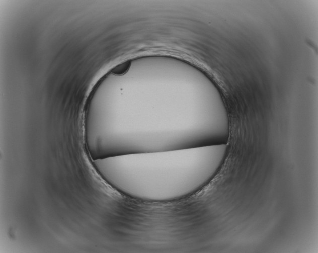 X0000096661522200802191254