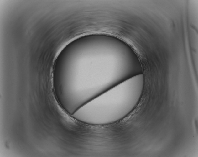 X0000096661524200802191254