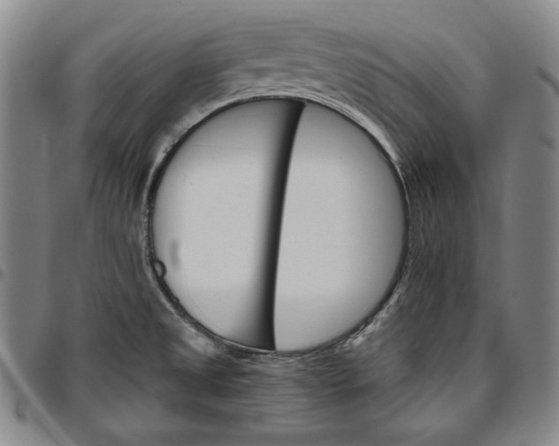 X0000096661525200802191254