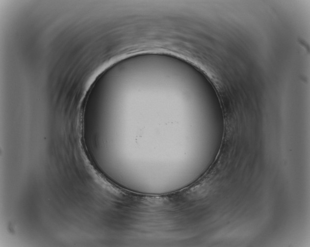 X0000096661526200802191254