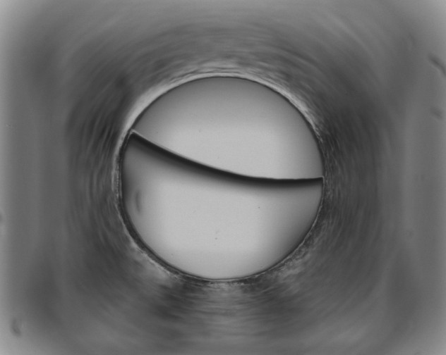 X0000096661527200802191254