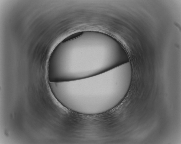 X0000096661528200802191254