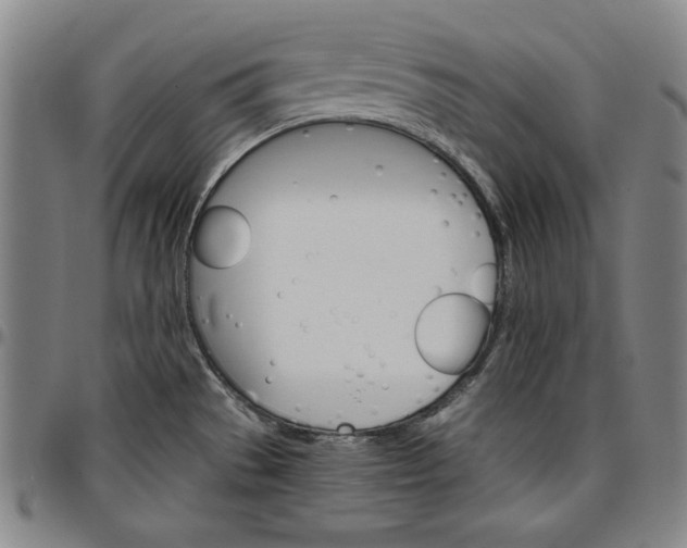 X0000096661529200802191254