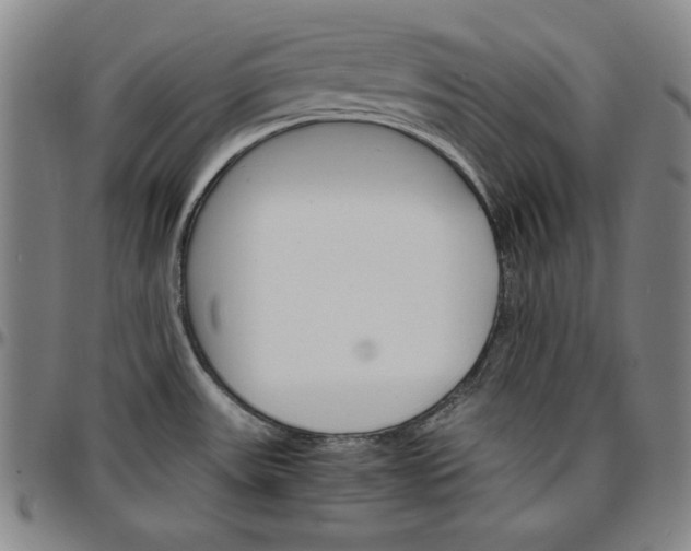 X0000096661531200802191254