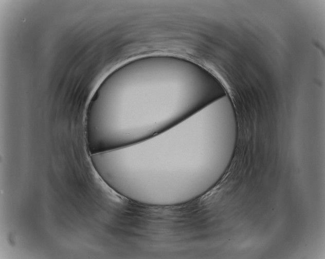 X0000096661532200802191254