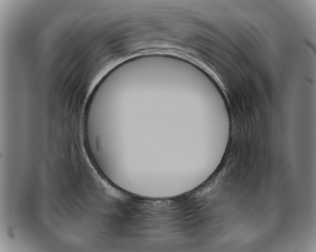 X0000096661533200802191254