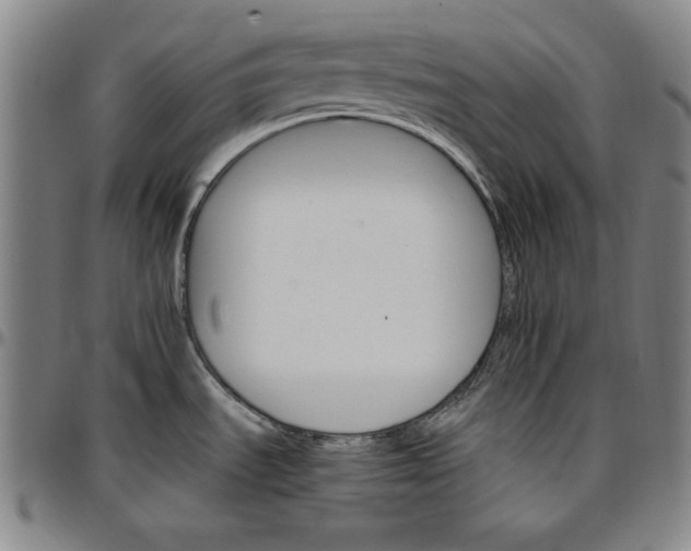 X0000096661535200802191254