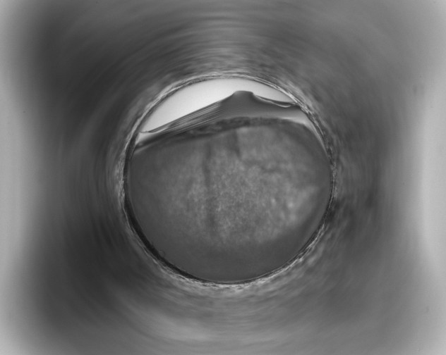 X0000096660002200802261353