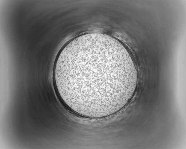 X0000096660003200802261353