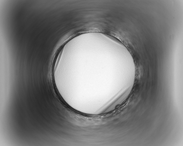 X0000096660004200802261353