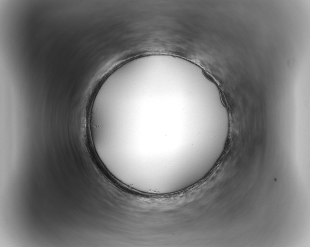 X0000096660005200802261353