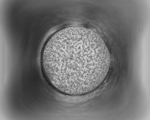 X0000096660006200802261353