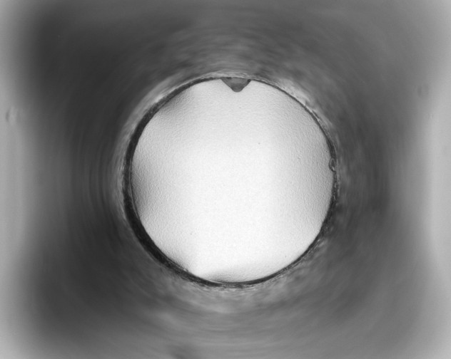 X0000096660007200802261353