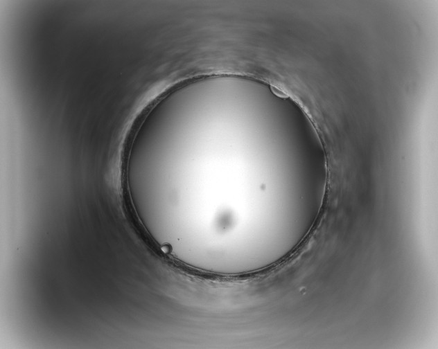 X0000096660008200802261353