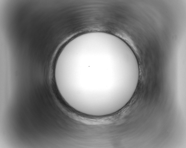 X0000096660012200802261353