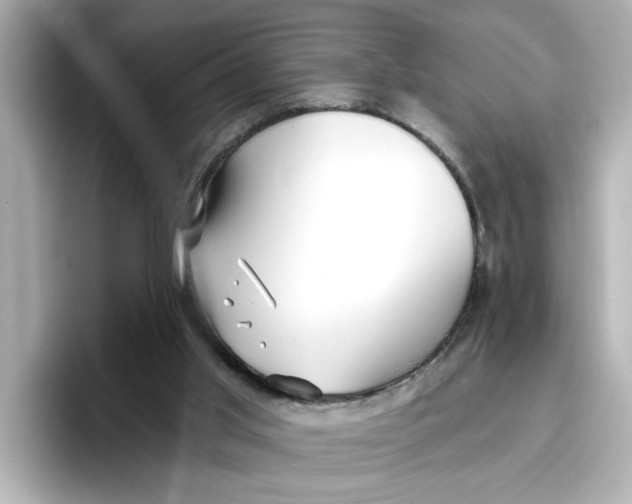 X0000096660013200802261353