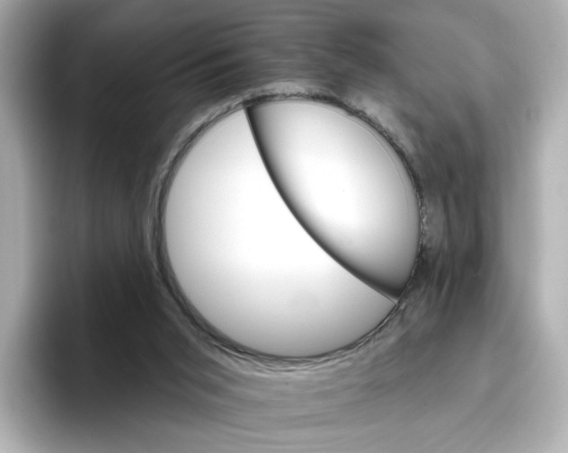 X0000096660015200802261353