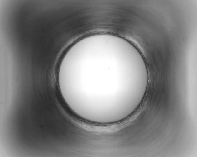 X0000096660016200802261353