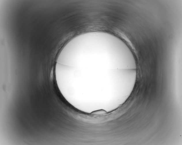 X0000096660019200802261353