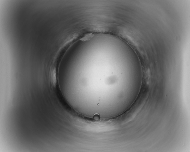 X0000096660020200802261353