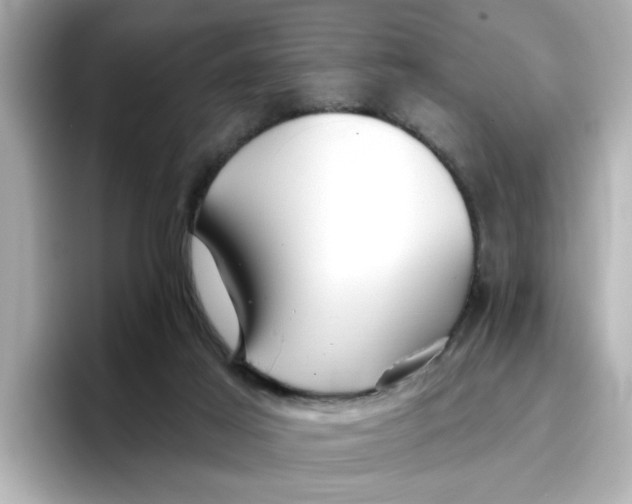 X0000096660021200802261353