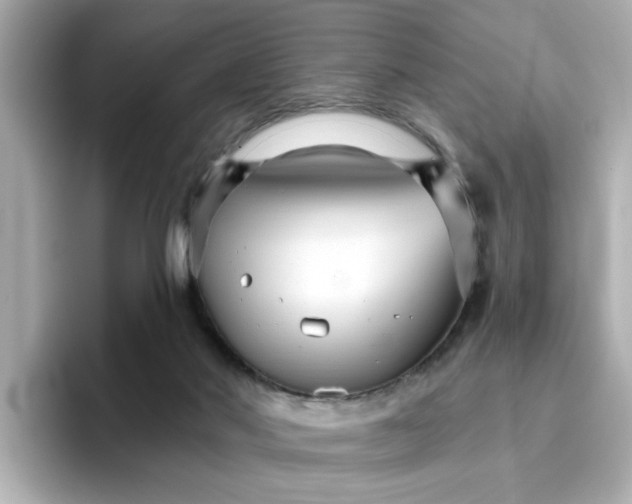 X0000096660022200802261353