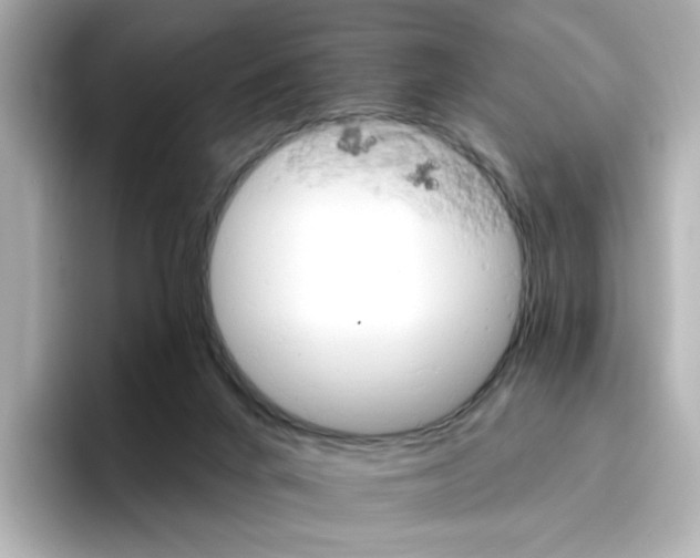 X0000096660024200802261353