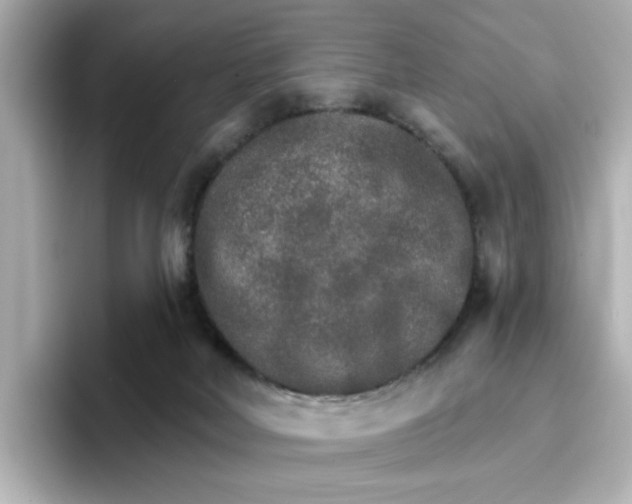 X0000096660026200802261353