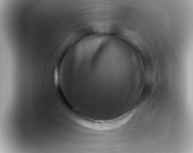 X0000096660027200802261353