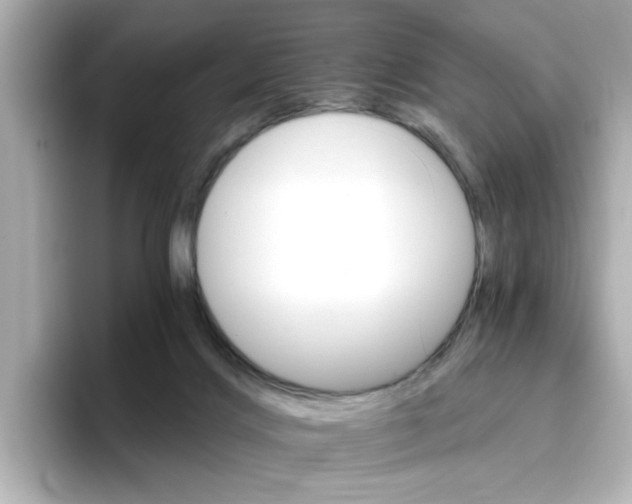 X0000096660028200802261353