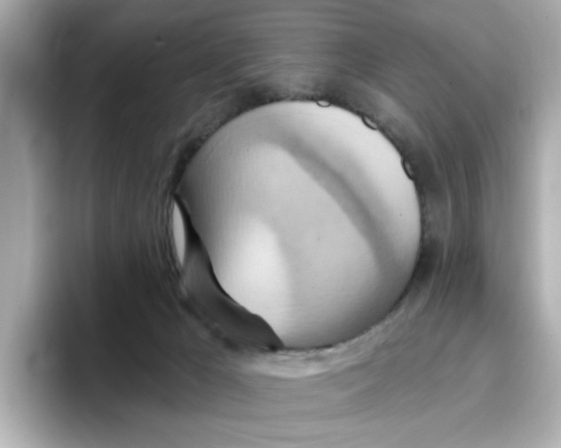 X0000096660029200802261353