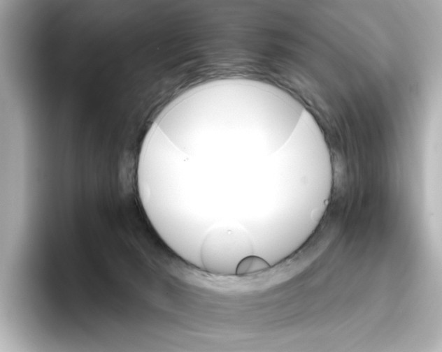 X0000096660030200802261353