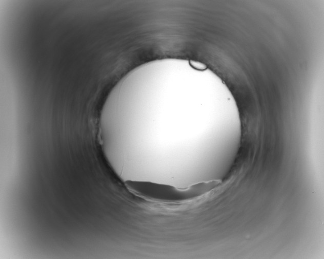 X0000096660033200802261353