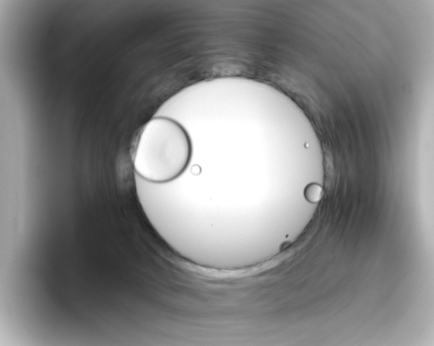 X0000096660034200802261353